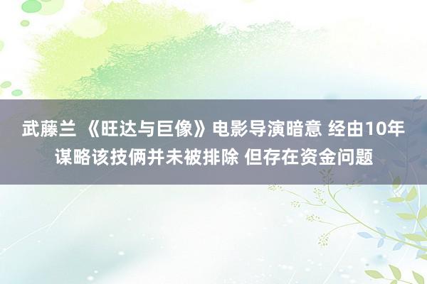 武藤兰 《旺达与巨像》电影导演暗意 经由10年谋略该技俩并未被排除 但存在资金问题