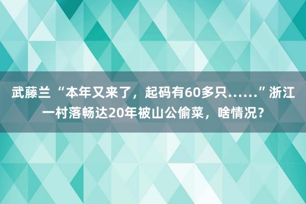 武藤兰 “本年又来了，起码有60多只……”浙江一村落畅达20年被山公偷菜，啥情况？