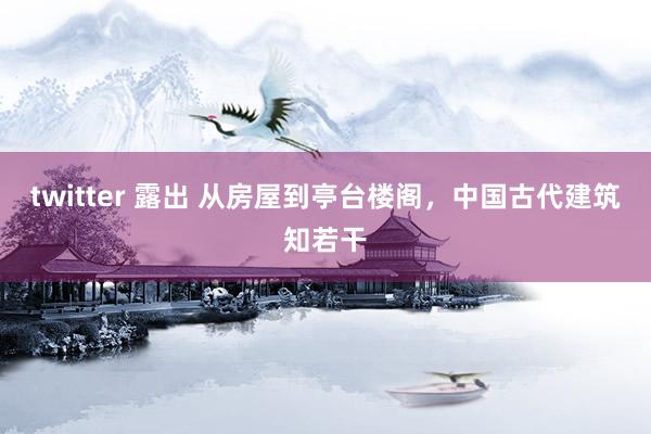 twitter 露出 从房屋到亭台楼阁，中国古代建筑知若干