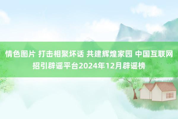 情色图片 打击相聚坏话 共建辉煌家园 中国互联网招引辟谣平台2024年12月辟谣榜