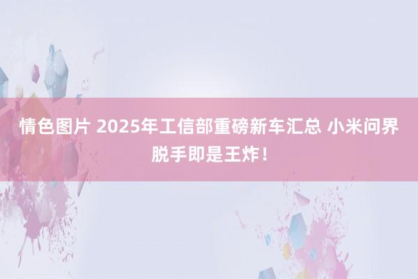 情色图片 2025年工信部重磅新车汇总 小米问界脱手即是王炸！