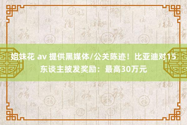 姐妹花 av 提供黑媒体/公关陈迹！比亚迪对15东谈主披发奖励：最高30万元