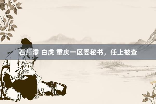 石川澪 白虎 重庆一区委秘书，任上被查