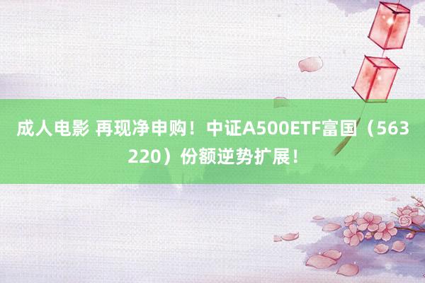 成人电影 再现净申购！中证A500ETF富国（563220）份额逆势扩展！