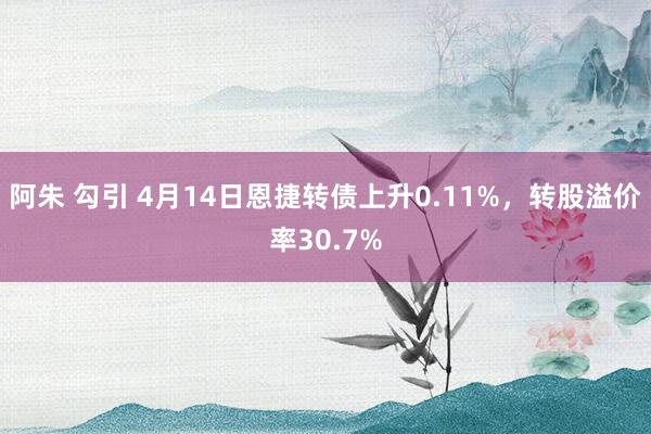 阿朱 勾引 4月14日恩捷转债上升0.11%，转股溢价率30.7%